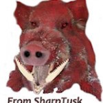 sharptusk2